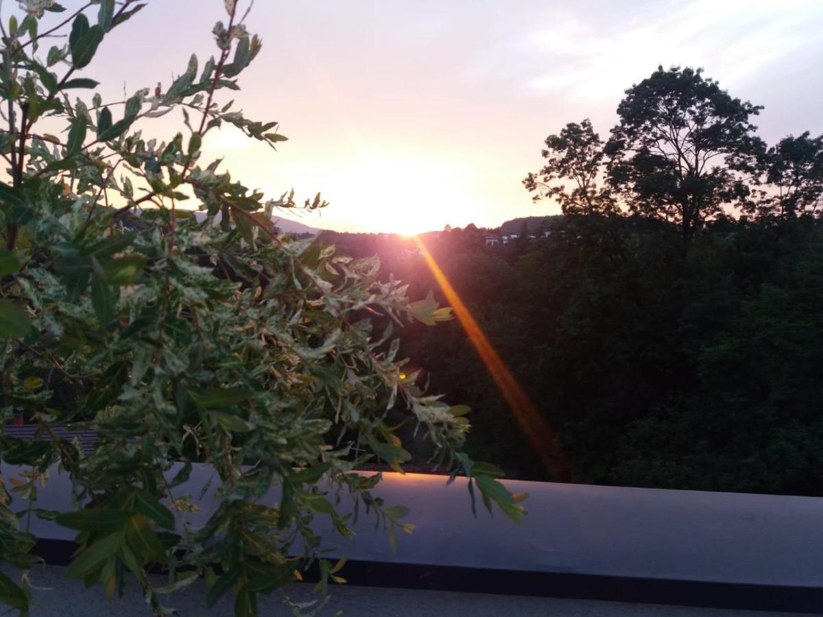 Apartman Japanski Vrt, Centar Vrnjačka Banja Esterno foto