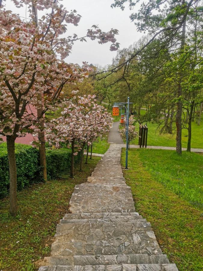 Apartman Japanski Vrt, Centar Vrnjačka Banja Esterno foto