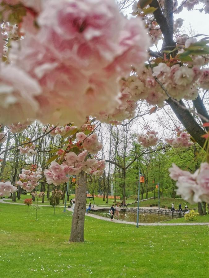 Apartman Japanski Vrt, Centar Vrnjačka Banja Esterno foto